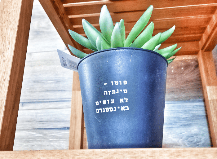 עציץ מלאכותי עציץ פלסטיק פרחים פלסטיק1-1.png עציץ מלאכותי עציץ פלסטיק פרחים פלסטיק